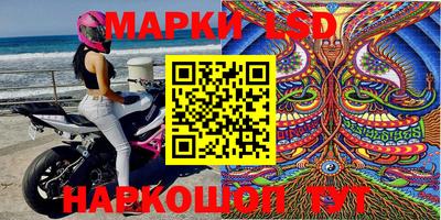 стафф Ставрополь