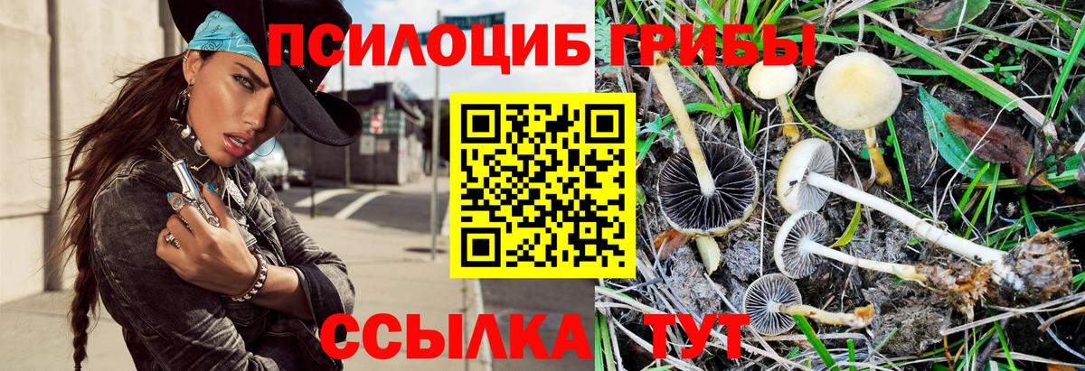 Галлюциногенные грибы ЛСД  Вход с VPN  Новороссийск 