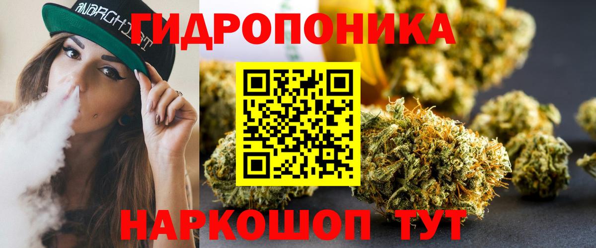 Бошки марихуана SATIVA & INDICA Новороссийск